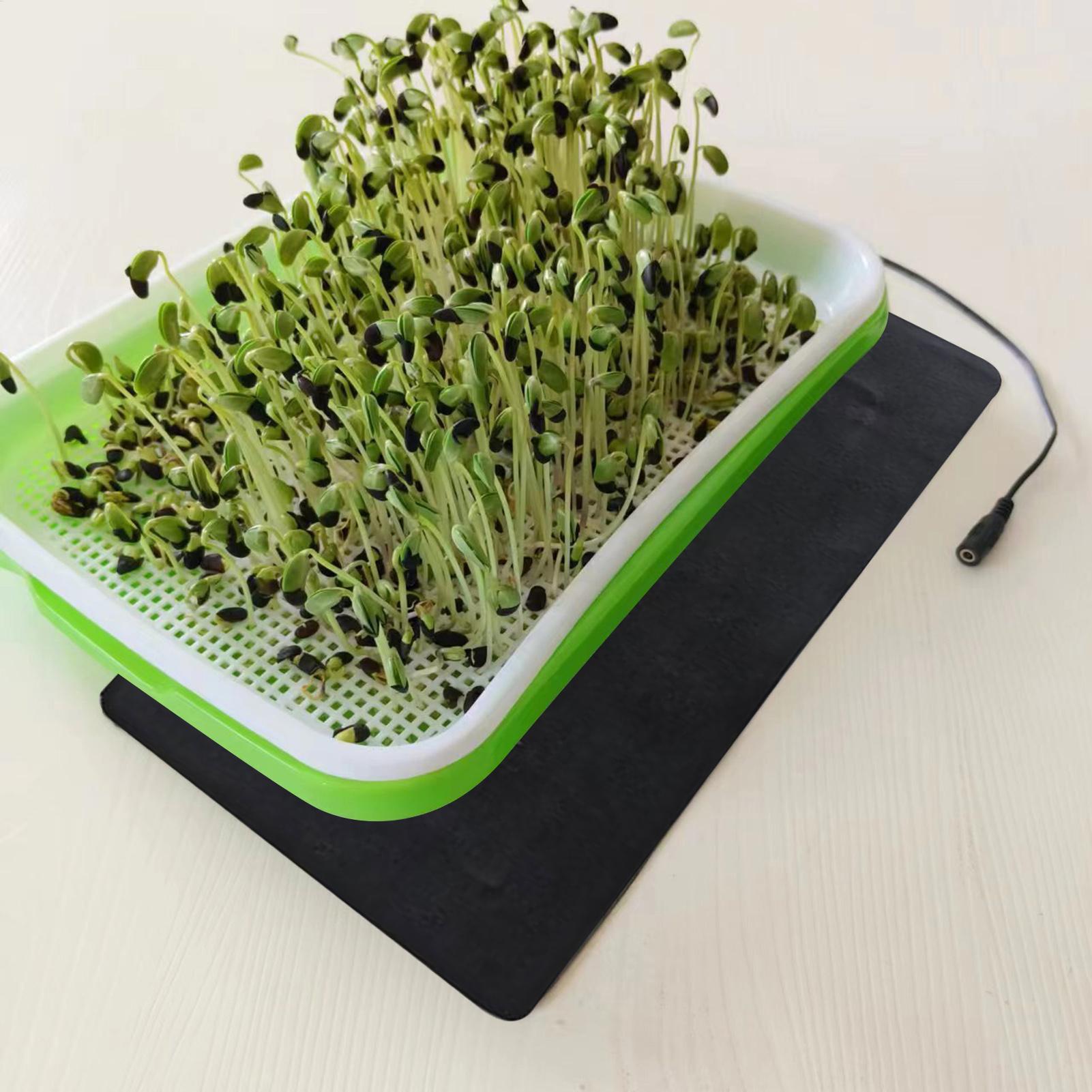 Alfombrillas térmicas USB de 8 - Seedling Heat Mat reseña y precio
